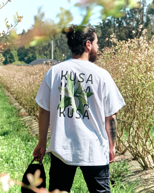 Kusa - Lírio